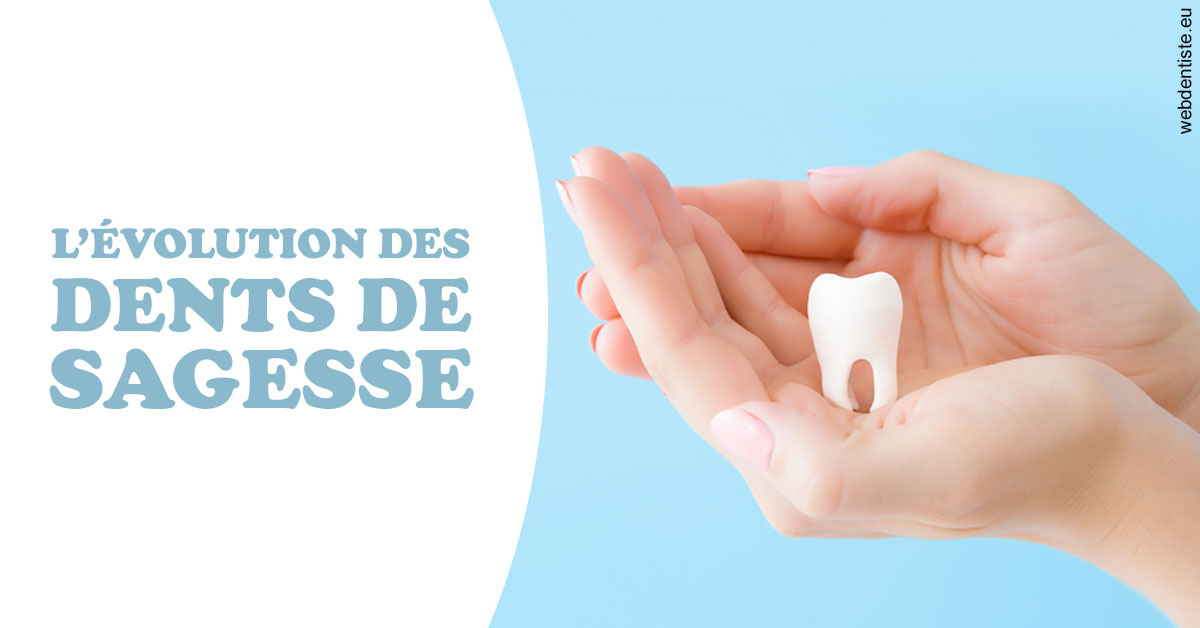 https://dr-laurence-choukroun-de-boerdere.chirurgiens-dentistes.fr/Evolution dents de sagesse 1