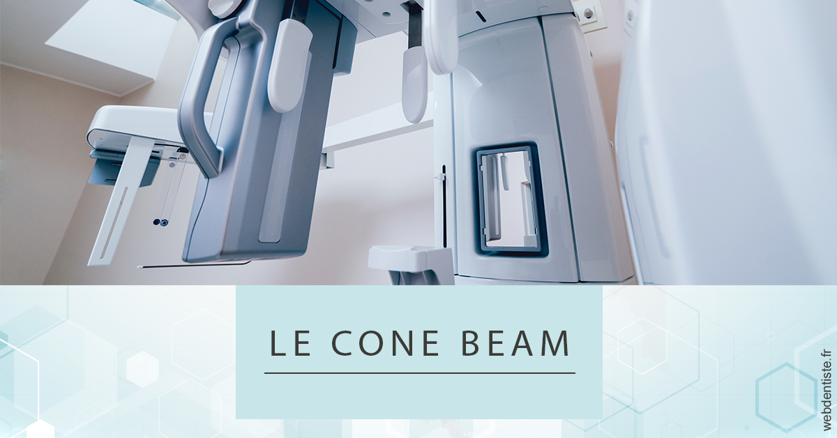 https://dr-laurence-choukroun-de-boerdere.chirurgiens-dentistes.fr/Le Cone Beam 2