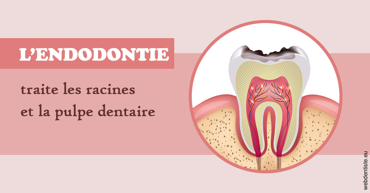 https://dr-laurence-choukroun-de-boerdere.chirurgiens-dentistes.fr/L'endodontie 2
