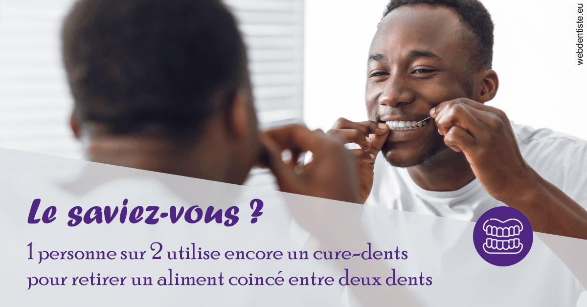 https://dr-laurence-choukroun-de-boerdere.chirurgiens-dentistes.fr/Cure-dents 2