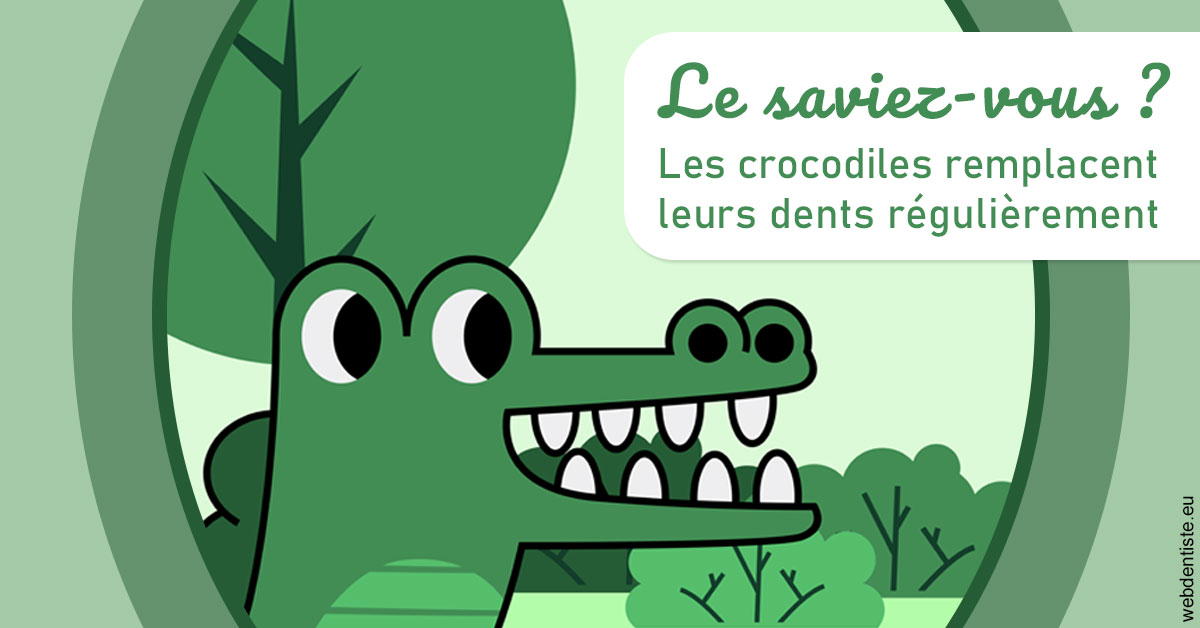 https://dr-laurence-choukroun-de-boerdere.chirurgiens-dentistes.fr/Crocodiles 2