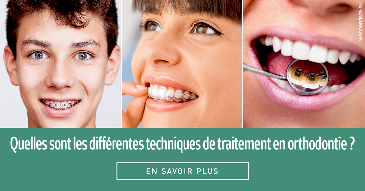 https://dr-laurence-choukroun-de-boerdere.chirurgiens-dentistes.fr/Les différentes techniques de traitement 2
