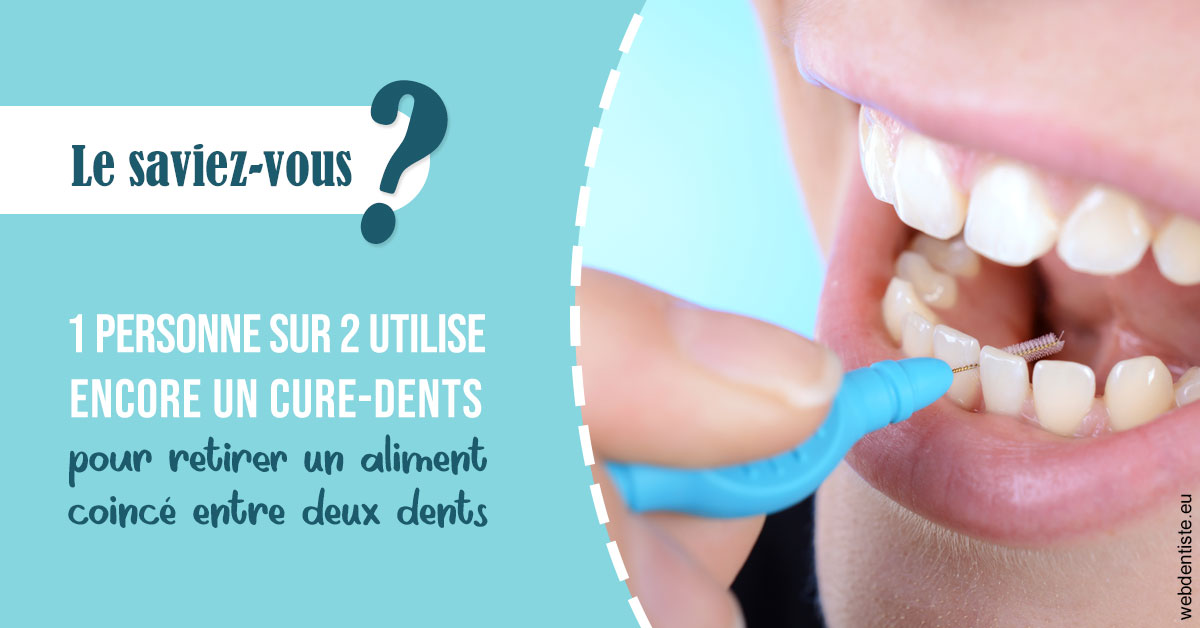 https://dr-laurence-choukroun-de-boerdere.chirurgiens-dentistes.fr/Cure-dents 1
