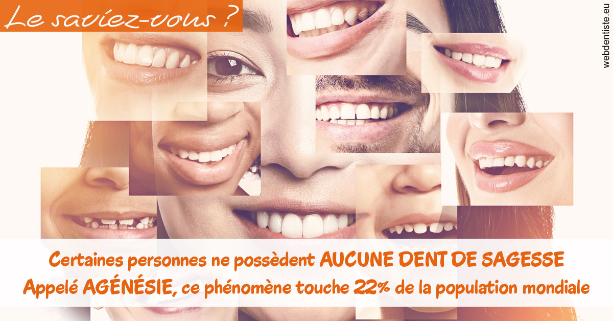 https://dr-laurence-choukroun-de-boerdere.chirurgiens-dentistes.fr/Agénésie 2