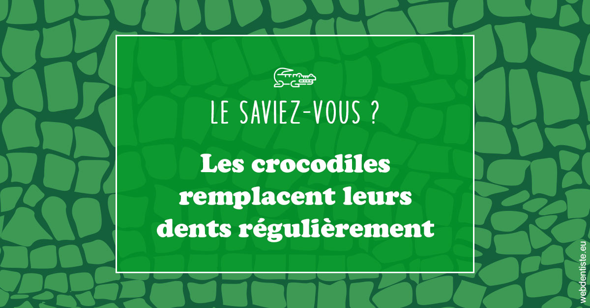 https://dr-laurence-choukroun-de-boerdere.chirurgiens-dentistes.fr/Crocodiles 1